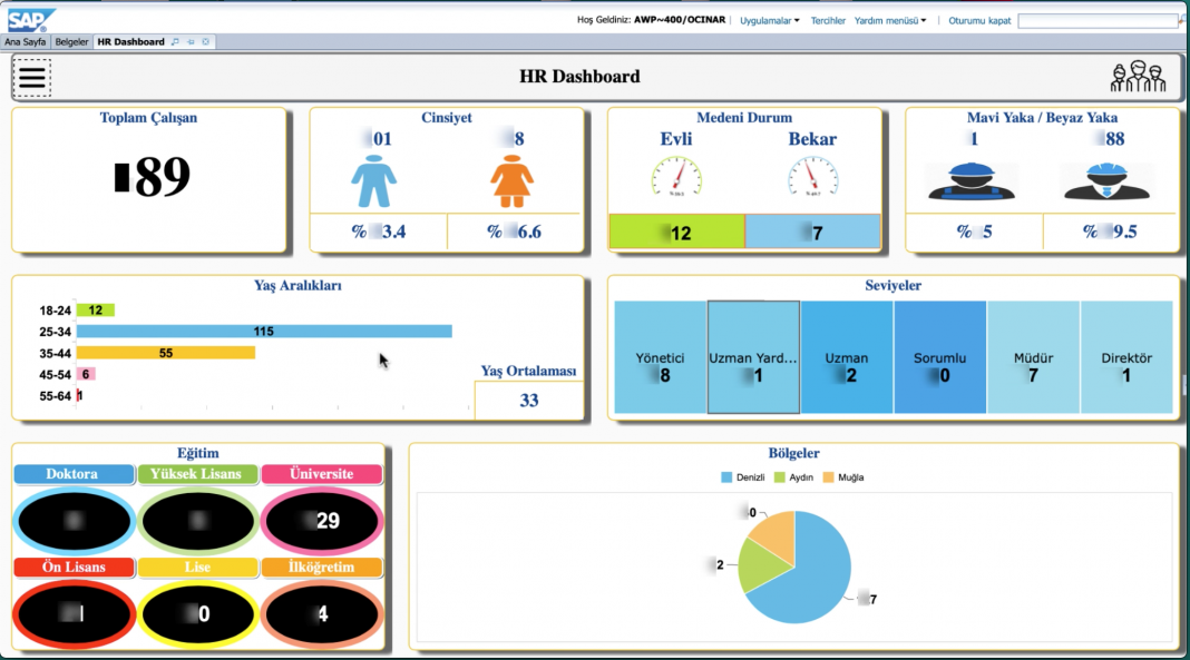 SAP BO HR DASHBOARD